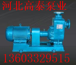 40ZX10-40高揚程自吸泵