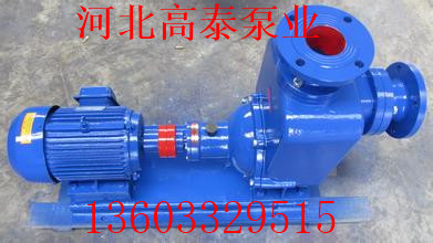 50ZX15-60高效節(jié)能自吸泵