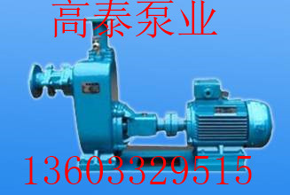 ZW65-25-30自吸式離心油泵