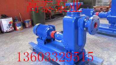 50ZX20-75鑄鐵自吸泵